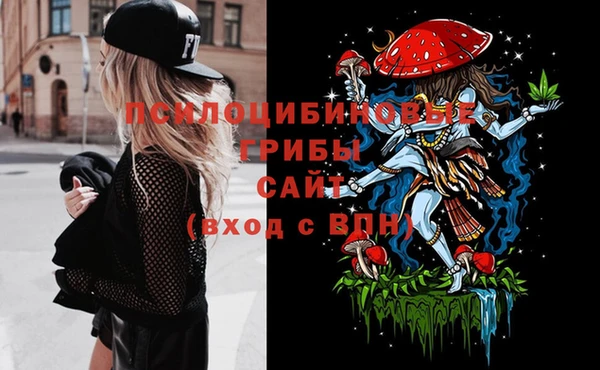 дурь Алексеевка