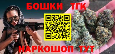 гашик Сланцы