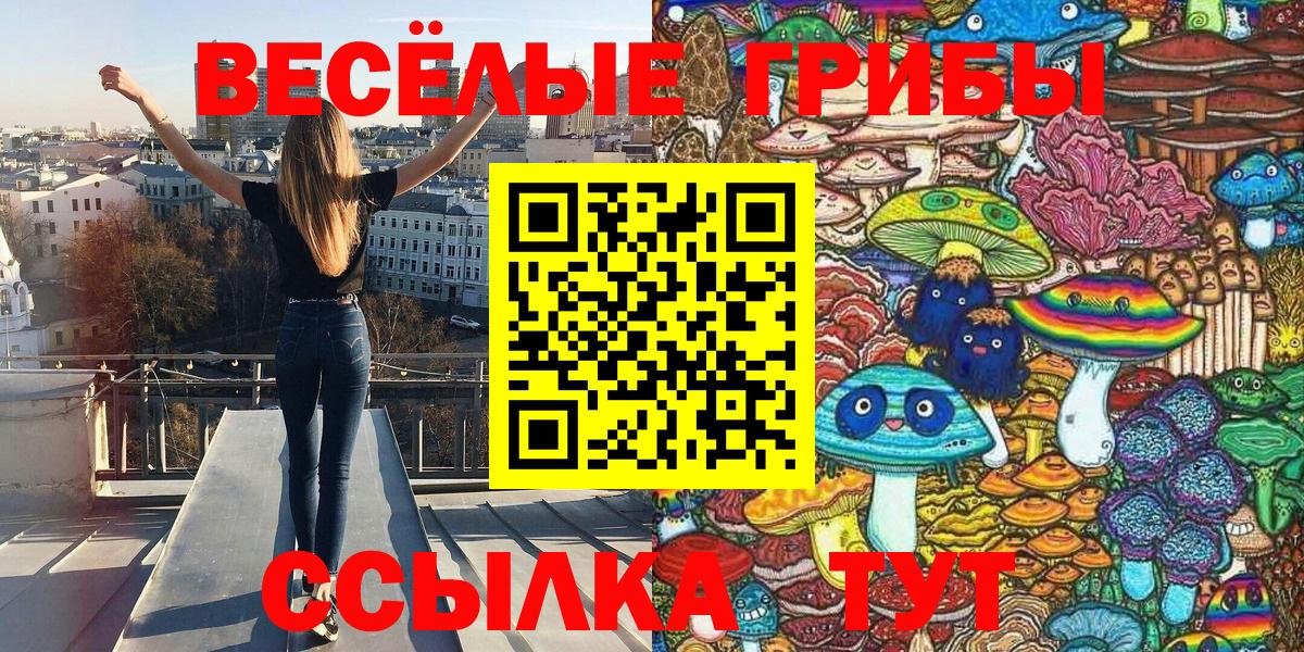 Галлюциногенные грибы Psilocybine cubensis Сухой Лог